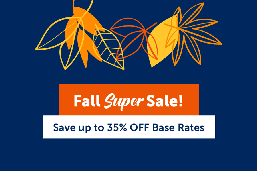 The Budget Fall Super Sale! The Budget Fall Super Sale!