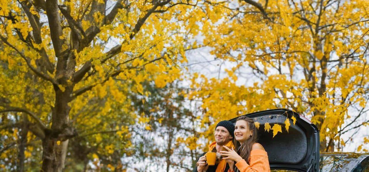 Fall Deal: Save Up to 35% Off on Pay Now Base Rates Fall Deal: Save Up to 35% Off on Pay Now Base Rates