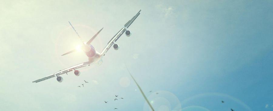 One-Way Airport Rentals, Starting at $9.99 One-Way Airport Rentals, Starting at $9.99