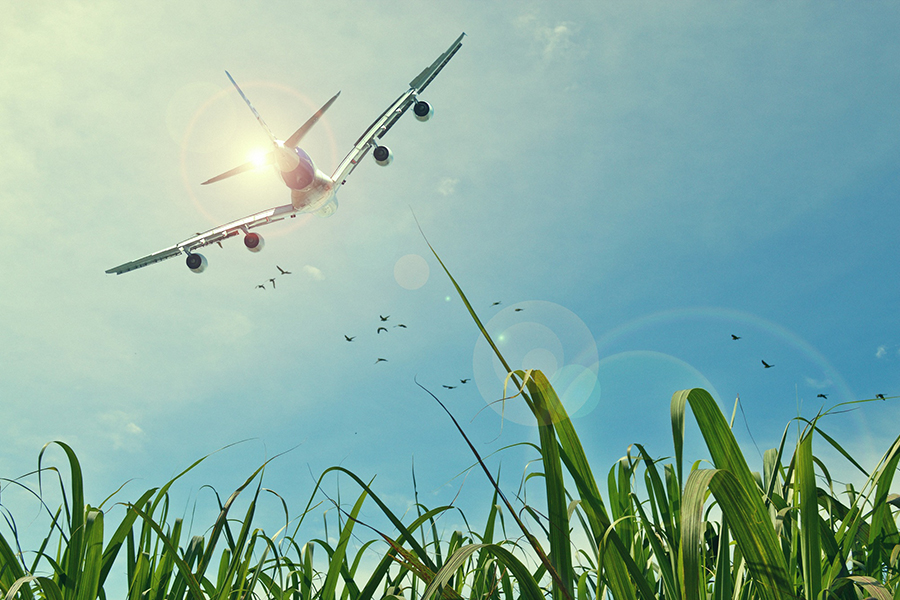 One-Way Airport Rentals, Starting at $9.99 One-Way Airport Rentals, Starting at $9.99